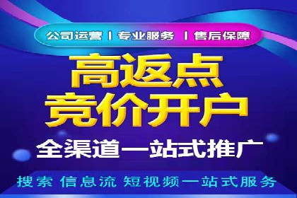百度推广案例：从零到一的SEO优化之路